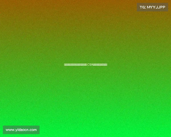 苏群:里奇保罗亲自指导杨瀚森选秀 CBA外援轮番授课助力成长 苏群:里奇保罗亲自指导杨瀚森选秀 CBA外援轮番授课助力成长